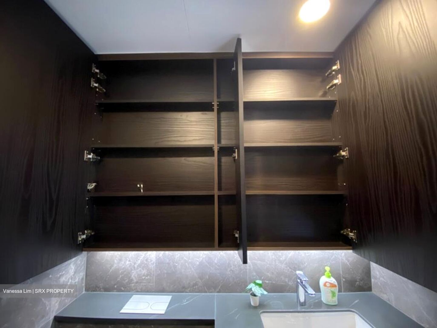 Kopar At Newton (D9), Apartment #585006891